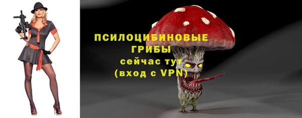 apvp Лиски