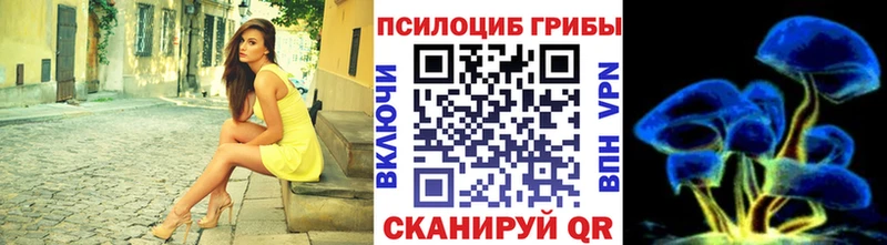 Галлюциногенные грибы Cubensis  Норильск 