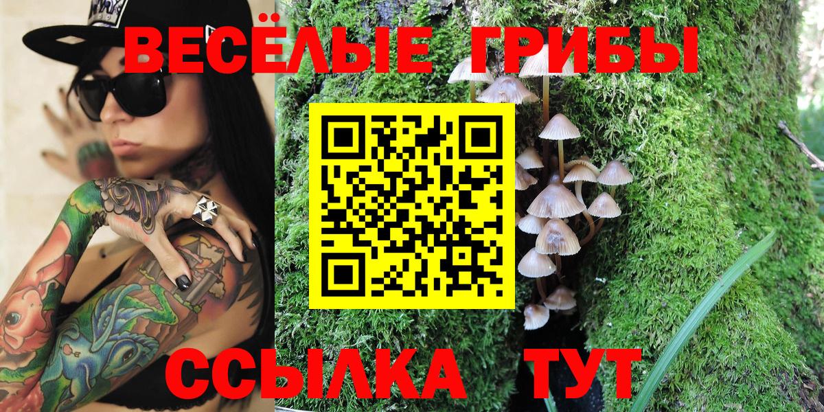 Псилоцибиновые грибы Psilocybine cubensis  Норильск 